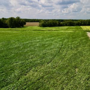 Photo #6 of SOLD property in Off Dover Fort Barnwell Rd, Dover, NC 32.0 acres