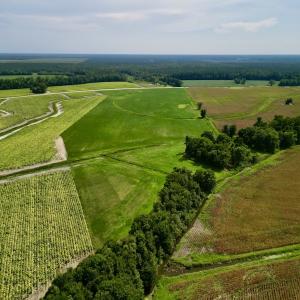 Photo #7 of SOLD property in Off Dover Fort Barnwell Rd, Dover, NC 32.0 acres