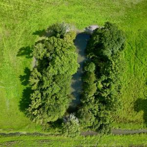Photo #9 of SOLD property in Off Dover Fort Barnwell Rd, Dover, NC 32.0 acres