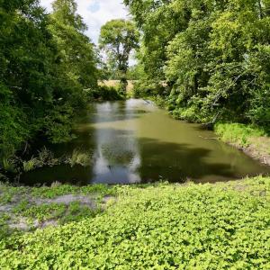 Photo #10 of SOLD property in Off Dover Fort Barnwell Rd, Dover, NC 32.0 acres