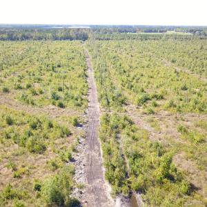 Photo #3 of 1115 Wilmar Rd, Vanceboro, NC 166.0 acres