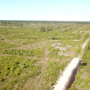 Photo #4 of 1115 Wilmar Rd, Vanceboro, NC 166.0 acres