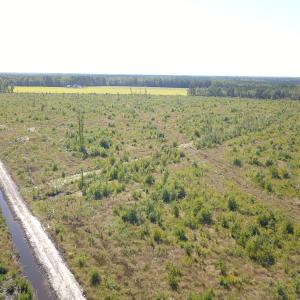 Photo #5 of 1115 Wilmar Rd, Vanceboro, NC 166.0 acres