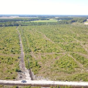 Photo #6 of 1115 Wilmar Rd, Vanceboro, NC 166.0 acres