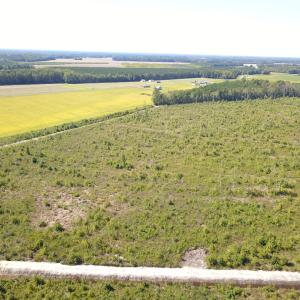 Photo #9 of 1115 Wilmar Rd, Vanceboro, NC 166.0 acres