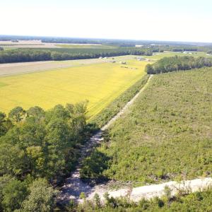 Photo #10 of 1115 Wilmar Rd, Vanceboro, NC 166.0 acres