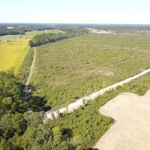 Photo #11 of 1115 Wilmar Rd, Vanceboro, NC 166.0 acres