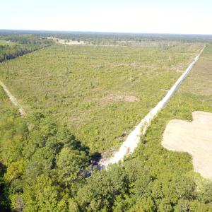 Photo #12 of 1115 Wilmar Rd, Vanceboro, NC 166.0 acres