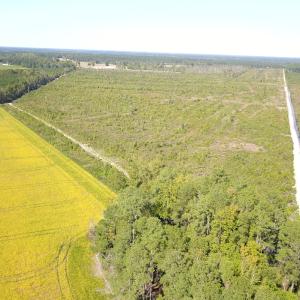 Photo #13 of 1115 Wilmar Rd, Vanceboro, NC 166.0 acres