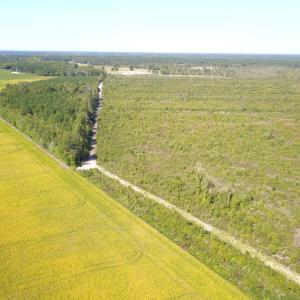 Photo #14 of 1115 Wilmar Rd, Vanceboro, NC 166.0 acres