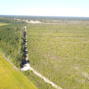 Photo #15 of 1115 Wilmar Rd, Vanceboro, NC 166.0 acres