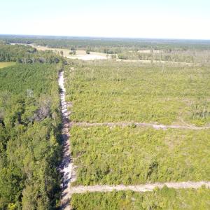 Photo #16 of 1115 Wilmar Rd, Vanceboro, NC 166.0 acres