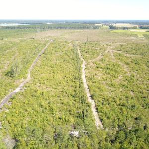 Photo #17 of 1115 Wilmar Rd, Vanceboro, NC 166.0 acres