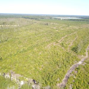 Photo #18 of 1115 Wilmar Rd, Vanceboro, NC 166.0 acres