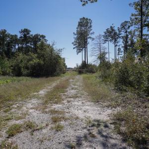 Photo #1 of 1115 Wilmar Rd, Vanceboro, NC 166.0 acres