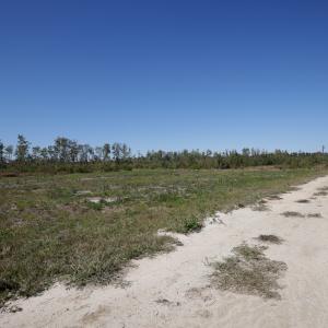 Photo #2 of 1115 Wilmar Rd, Vanceboro, NC 166.0 acres