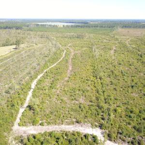 Photo #20 of 1115 Wilmar Rd, Vanceboro, NC 166.0 acres