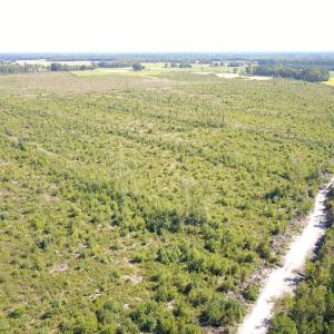 Photo #21 of 1115 Wilmar Rd, Vanceboro, NC 166.0 acres
