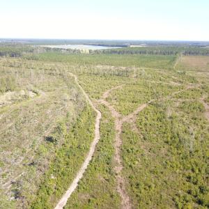 Photo #22 of 1115 Wilmar Rd, Vanceboro, NC 166.0 acres