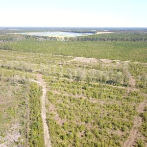 Photo #23 of 1115 Wilmar Rd, Vanceboro, NC 166.0 acres
