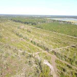 Photo #24 of 1115 Wilmar Rd, Vanceboro, NC 166.0 acres