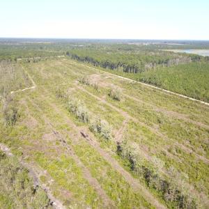 Photo #25 of 1115 Wilmar Rd, Vanceboro, NC 166.0 acres