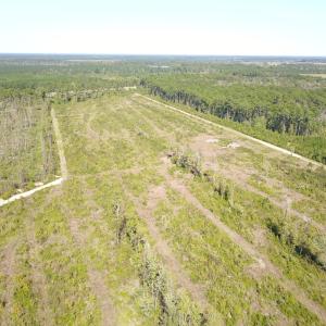Photo #26 of 1115 Wilmar Rd, Vanceboro, NC 166.0 acres