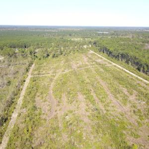 Photo #27 of 1115 Wilmar Rd, Vanceboro, NC 166.0 acres