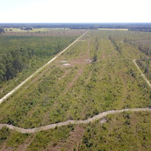 Photo #28 of 1115 Wilmar Rd, Vanceboro, NC 166.0 acres