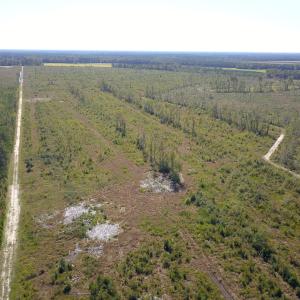 Photo #29 of 1115 Wilmar Rd, Vanceboro, NC 166.0 acres