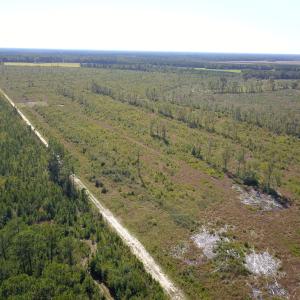 Photo #30 of 1115 Wilmar Rd, Vanceboro, NC 166.0 acres