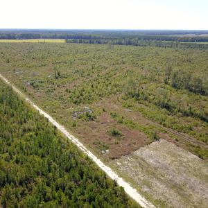 Photo #33 of 1115 Wilmar Rd, Vanceboro, NC 166.0 acres