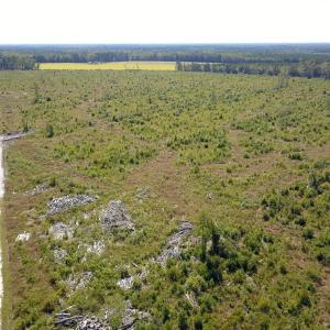 Photo #34 of 1115 Wilmar Rd, Vanceboro, NC 166.0 acres