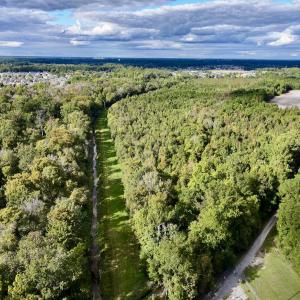 Photo #2 of SOLD property in Off Van Gert Rd, Winterville, NC 29.3 acres