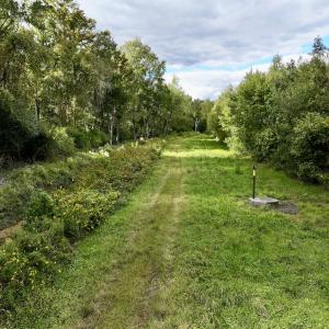 Photo #11 of SOLD property in Off Van Gert Rd, Winterville, NC 29.3 acres