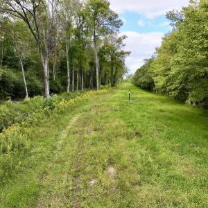 Photo #12 of SOLD property in Off Van Gert Rd, Winterville, NC 29.3 acres