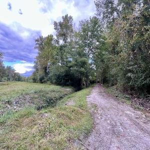Photo #14 of SOLD property in Off Van Gert Rd, Winterville, NC 29.3 acres