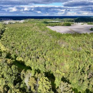 Photo #3 of SOLD property in Off Van Gert Rd, Winterville, NC 29.3 acres