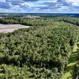 Photo #5 of SOLD property in Off Van Gert Rd, Winterville, NC 29.3 acres
