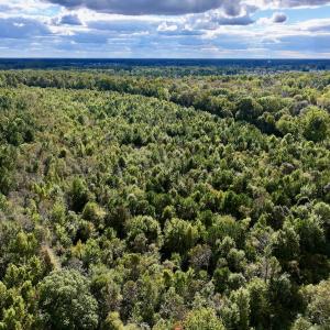 Photo #7 of SOLD property in Off Van Gert Rd, Winterville, NC 29.3 acres