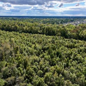 Photo #8 of SOLD property in Off Van Gert Rd, Winterville, NC 29.3 acres