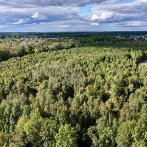 Photo #9 of SOLD property in Off Van Gert Rd, Winterville, NC 29.3 acres
