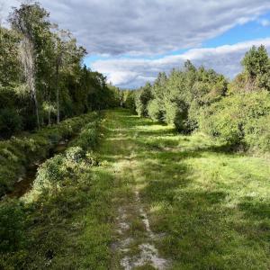 Photo #10 of SOLD property in Off Van Gert Rd, Winterville, NC 29.3 acres