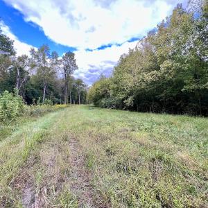 Photo #26 of SOLD property in Off Van Gert Rd, Winterville, NC 29.3 acres