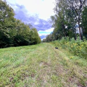 Photo #27 of SOLD property in Off Van Gert Rd, Winterville, NC 29.3 acres