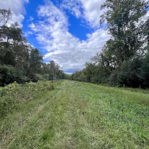 Photo #30 of SOLD property in Off Van Gert Rd, Winterville, NC 29.3 acres