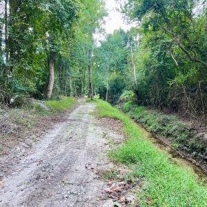 Photo #35 of SOLD property in Off Van Gert Rd, Winterville, NC 29.3 acres