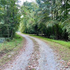 Photo #36 of SOLD property in Off Van Gert Rd, Winterville, NC 29.3 acres
