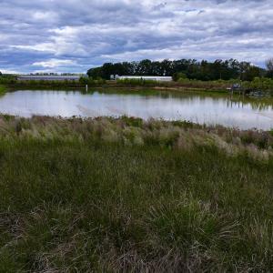 Photo #12 of SOLD property in Off Castoria Rd, Walstonburg, NC 22.8 acres