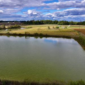 Photo #16 of SOLD property in Off Castoria Rd, Walstonburg, NC 22.8 acres